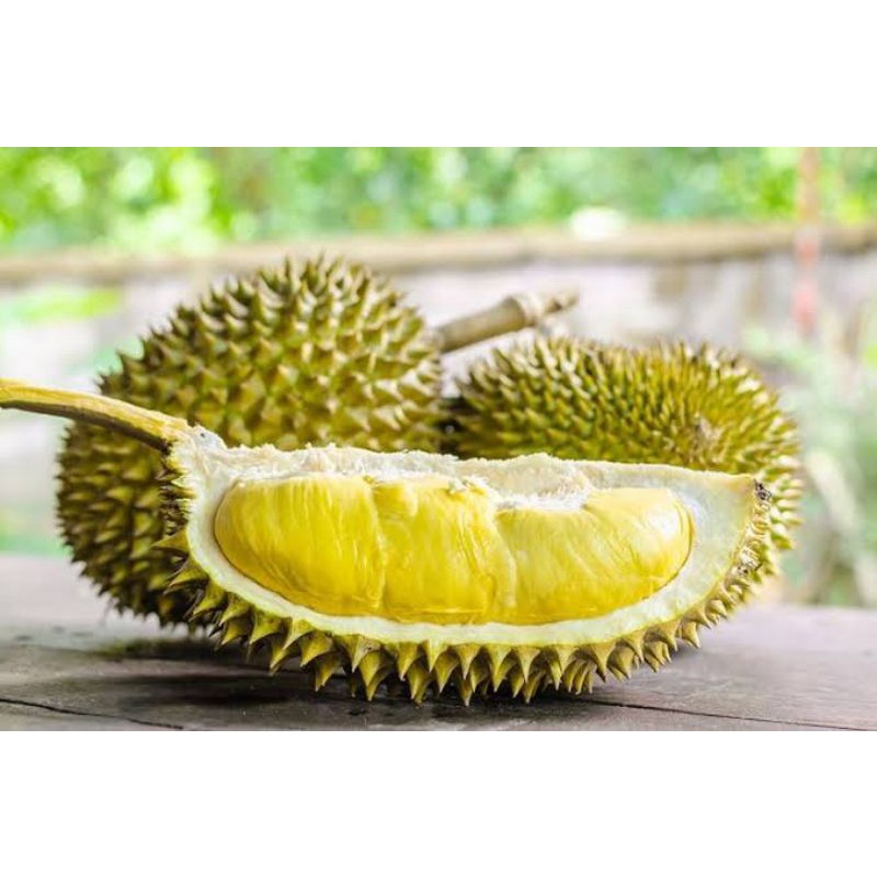 Jual Buah Durian musang king si montong siper jumbo Shopee Indonesia