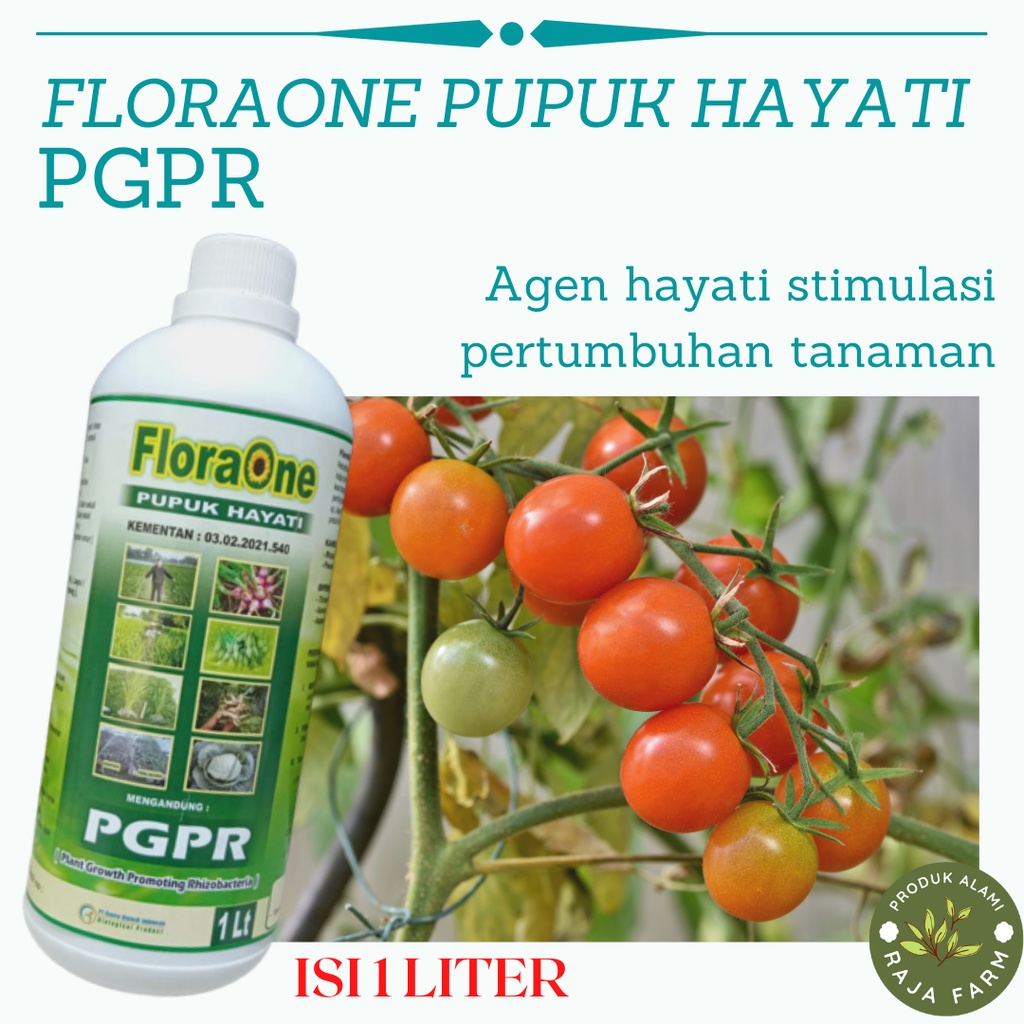 Jual Pupuk Pertumbuhan Tricoderma Cair Obat Anti Jamur Pada Tanaman