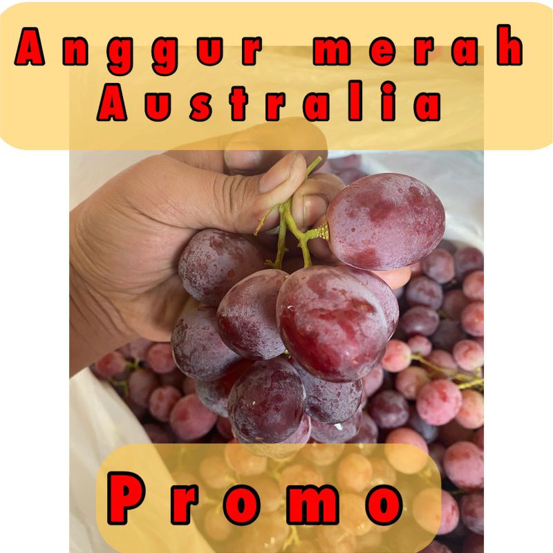 Jual anggur merah rrc|buah segar bandung|nuri fruits|250gram|buah ...