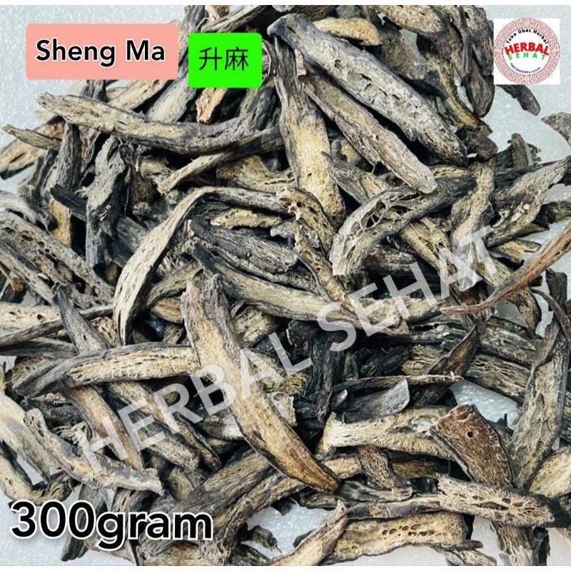 Jual 300 gram Lu Sheng Ma - Shengma / Luk Shin Ma Lushengma - Rhizoma ...
