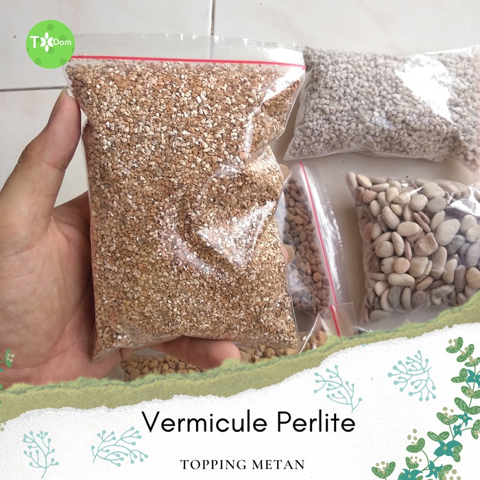 Jual Vermicule Perlite, topping media tanam hias sukulen kaktus taman ...