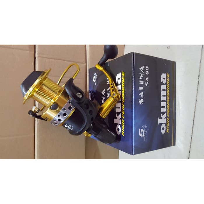 best saltwater spinning reel 150-250 Best Spinning Reels for 2026