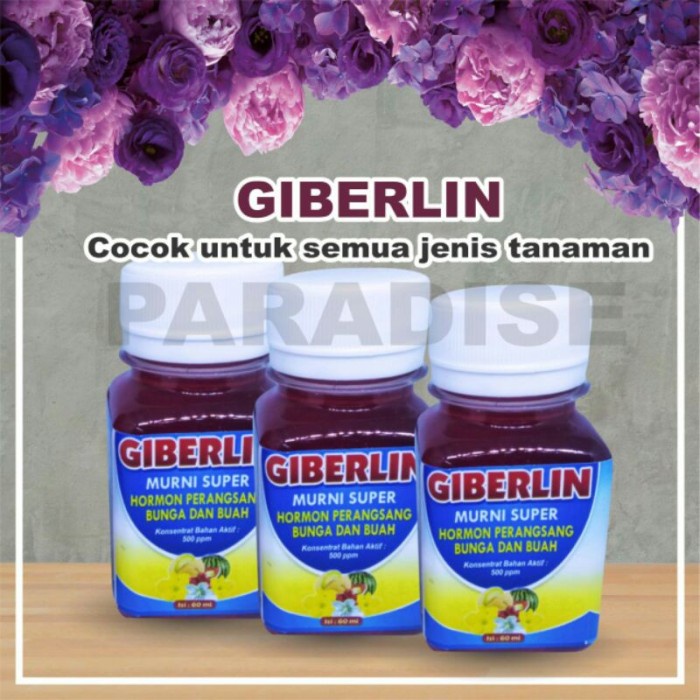 Jual Pupuk Tanaman Hormon Zpt Giberelin Giberlin Original Giberlin Biru Shopee Indonesia