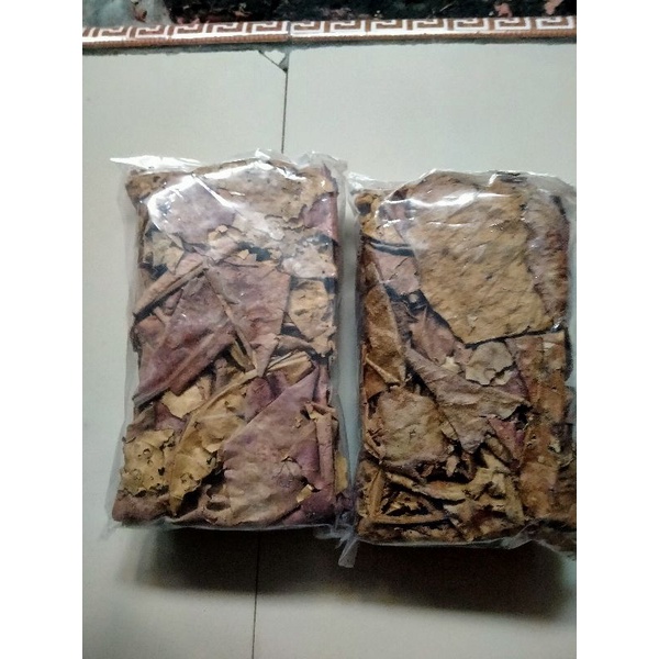 Jual Daun Ketapang Olahan Laut Shopee Indonesia