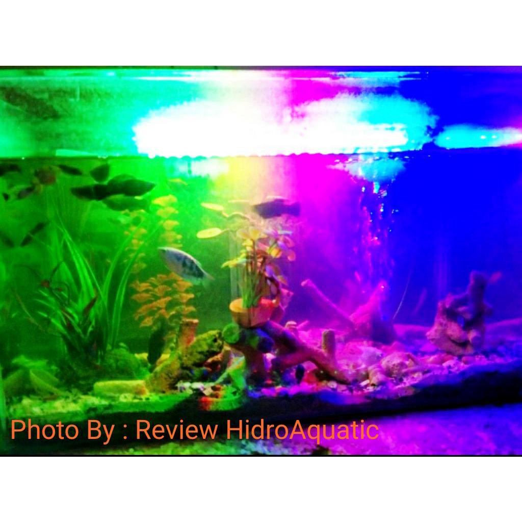 Jual Lampu Aquarium 3 Warna 40cm / Lampu celup aquarium / Lampu led