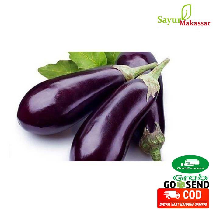 Jual Terong Ungu Eggplant Perbuah Sayur Sayuran Segar Fresh Shopee