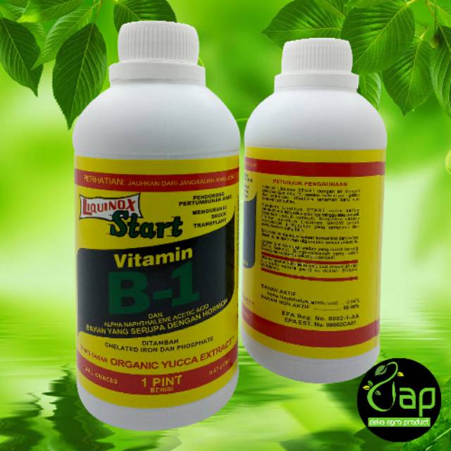 Jual PUPUK VITAMIN PENUMBUH AKAR TANAMAN B1 LIQUINOX 470ML | Shopee ...