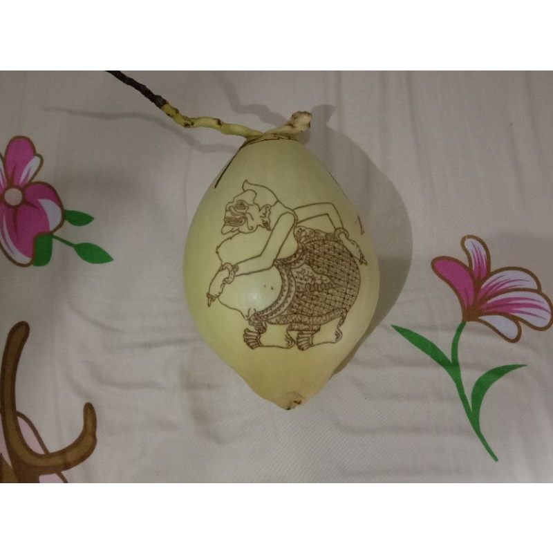 Jual cengkir gading, kelapa gading untuk acara keba 7 bulanan, mitoni