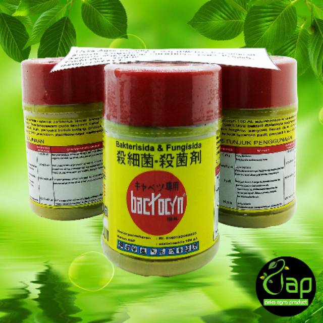 Jual BAKTERISIDA + FUNGISIDA BACTOCYN 150AL 100 ML + LAWAN BUSUK BATANG ...