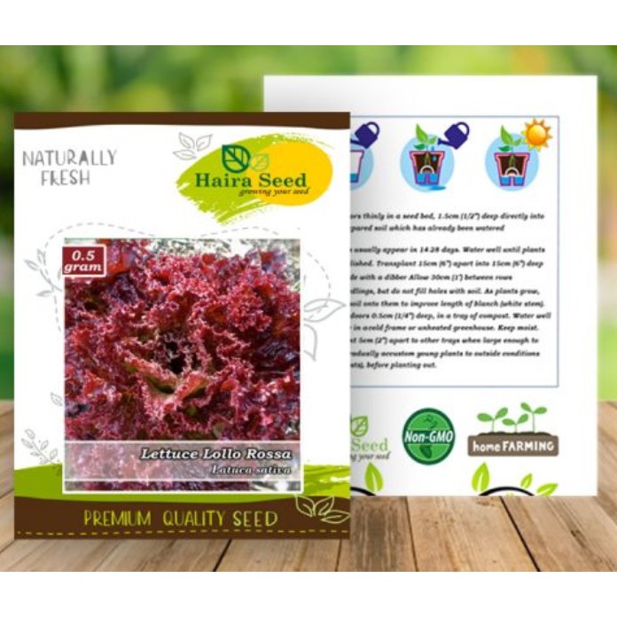 Jual Benih Bibit Selada Merah Lollo Rossa Haira Seed (800 Butir ...