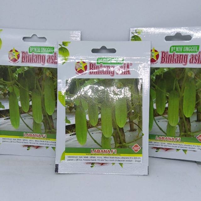 Jual Benih Mentimun labana f1 bintang asia kemasan small pouch | Shopee ...