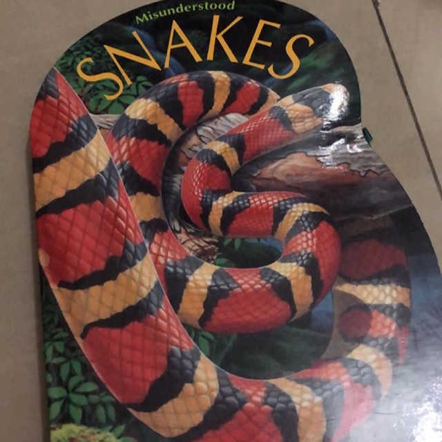 Jual misunderstood snakes pop up book | Shopee Indonesia