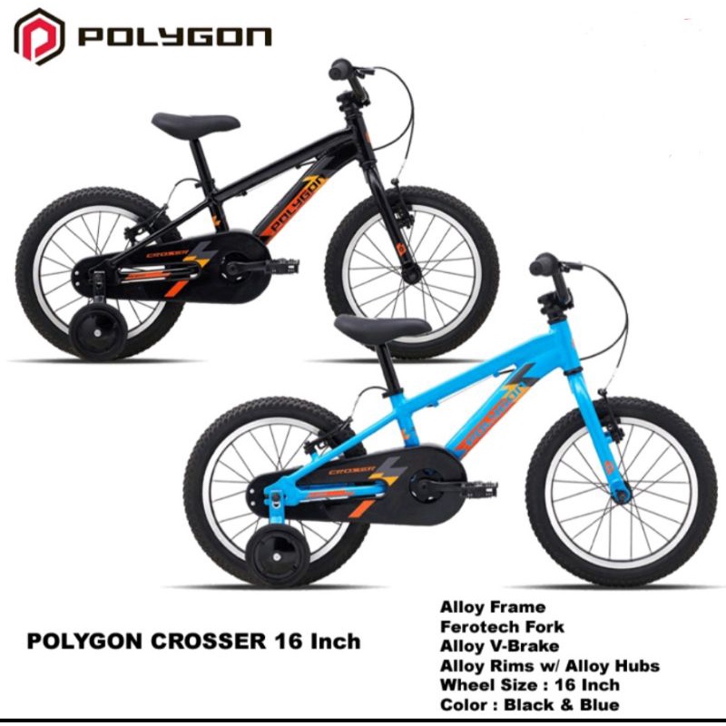 Spesifikasi polygon 2024 b2w 16