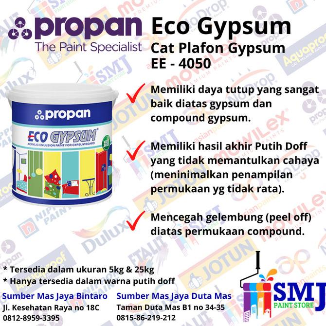 Jual Cat Plafon Ceiling Propan Eco Gypsum Warna Putih White 9101 25 Kg Shopee Indonesia 5322