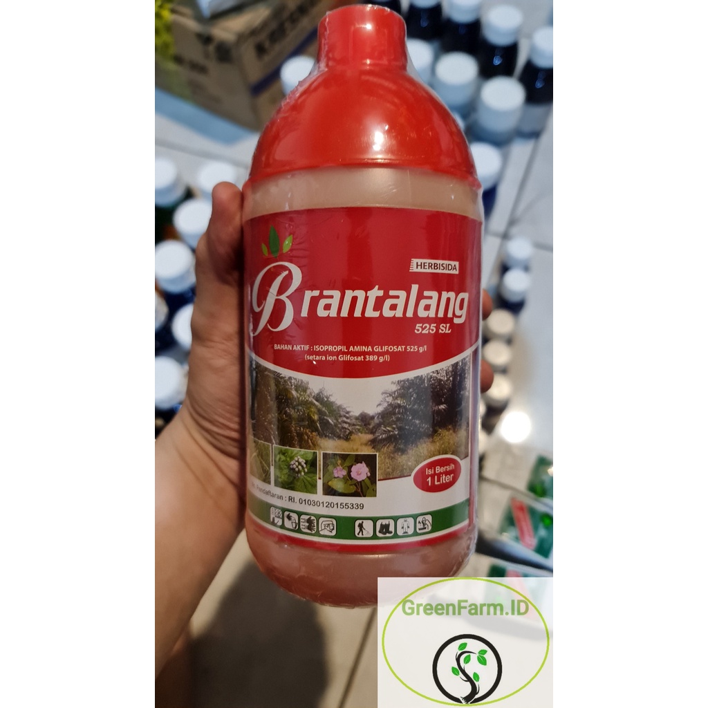 Jual Herbisida BRANTALANG 525SL 1Liter Shopee Indonesia