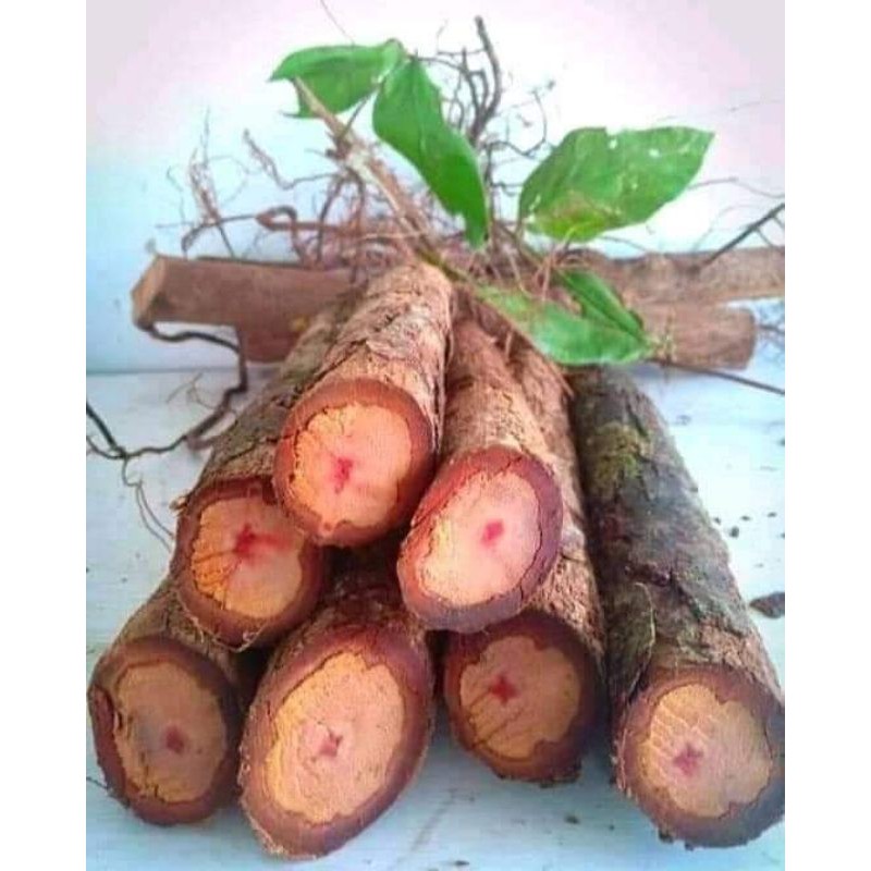 Jual Bajakah Asli Kalimantan 1kg | Shopee Indonesia