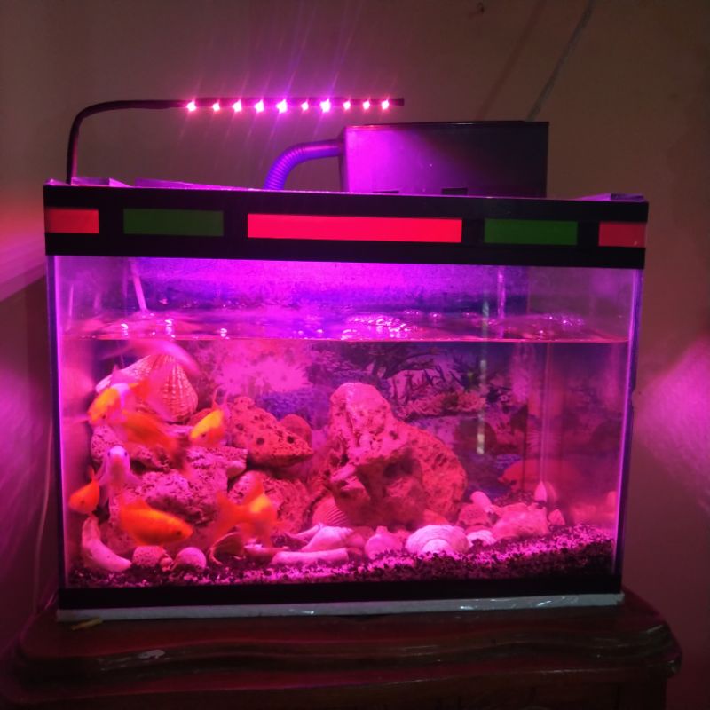 Jual Lampu Aquarium Led Smd Panjang 20cm 10 Titik Lampu Aquarium