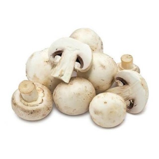 home-aoki-cogumelos-shitake-shimeji-branco-champignon-mushroom-04