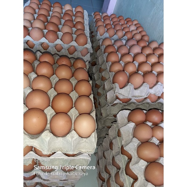 Jual telur ayam ras (1kg) | Shopee Indonesia