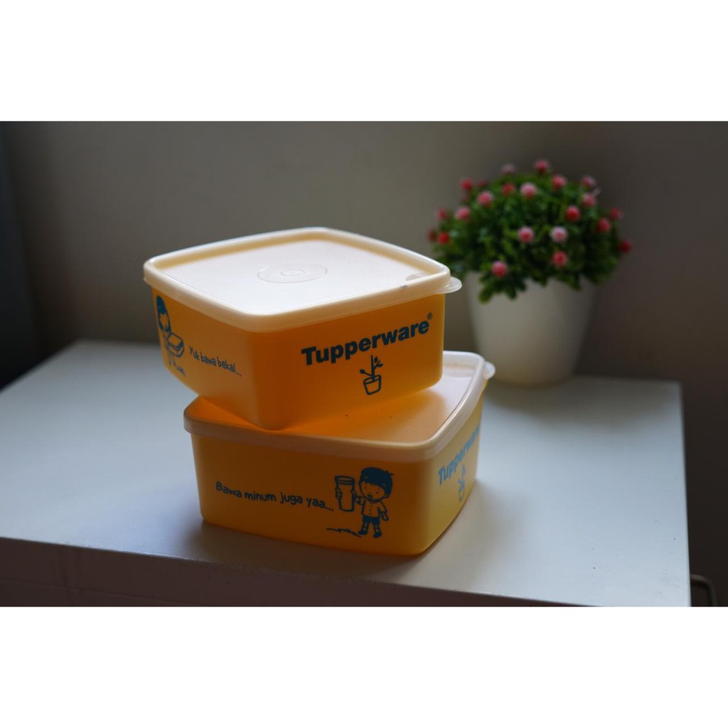 Jual TUPPERWARE ANAK SEHAT kotak tempat makan kedap air kedap udara ...