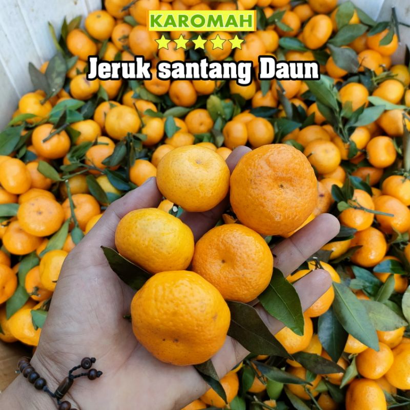 Jual Jeruk Santang Madu Daun 500gram Manis Segar Shopee Indonesia