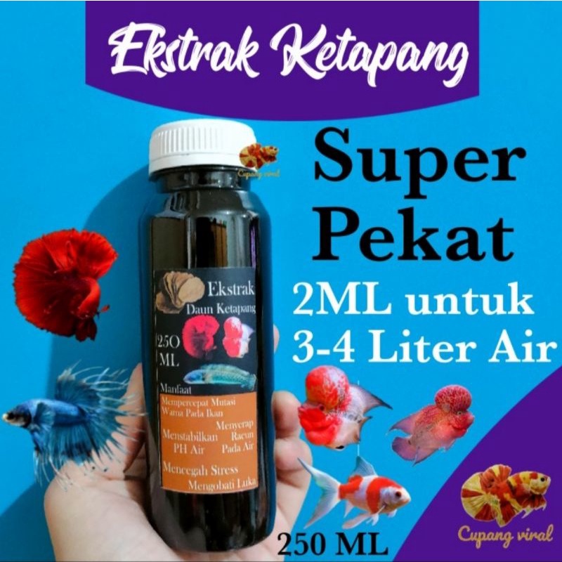 Jual Ekstrak Daun Ketapang Super Cupang Viral Ml Shopee Indonesia