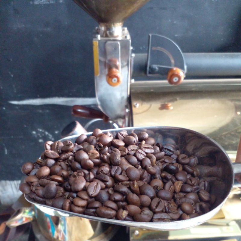 Jual KOPI ROBUSTA BIJI (ROAST BEAN) | Shopee Indonesia