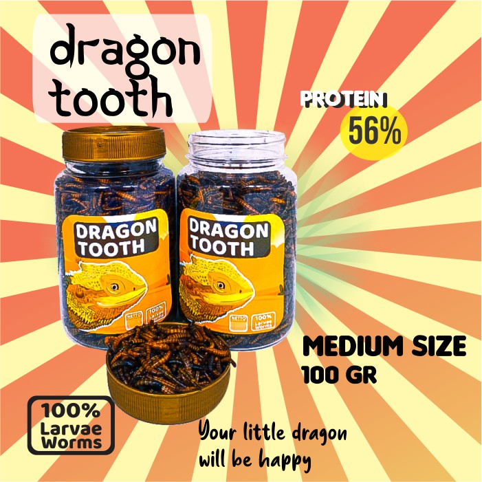 Jual Pakan Makanan Reptil Dragon Tooth Ulat Ulet Hongkong Kering Biawak