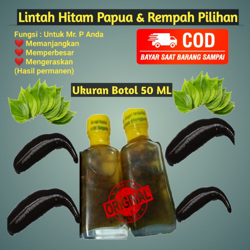 Jual Minyak Lintah Asli Minyak Lintah Hitam Papua Asli 100 Original