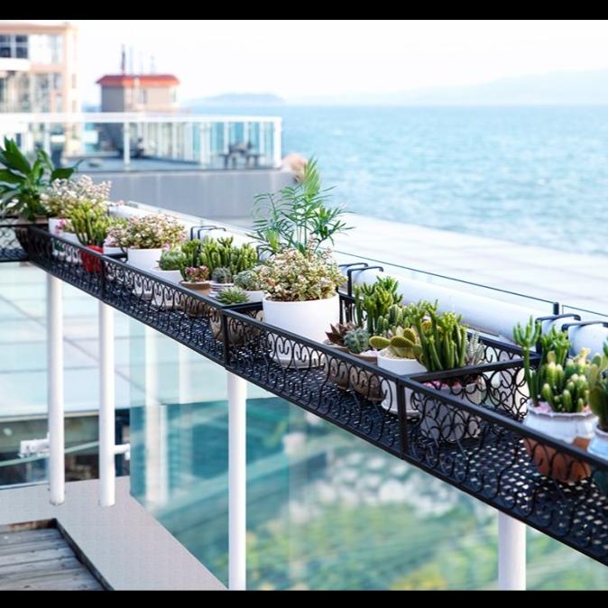 Jual Goland Railing iron frame Rak Gantung Rak Pot Tanaman Gantung ...