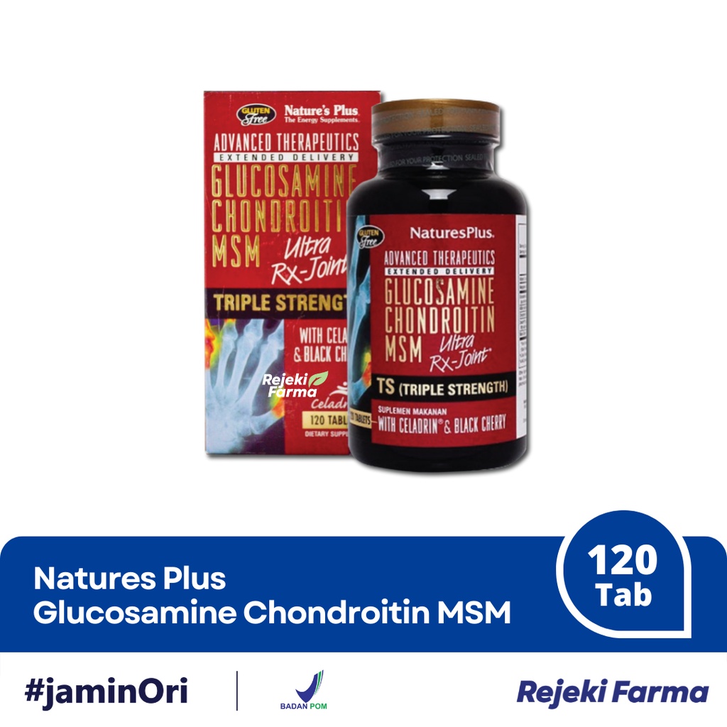 Jual Natures Plus Glucosamine Chondroitin MSM Ultra Rx Joint isi 120 ...
