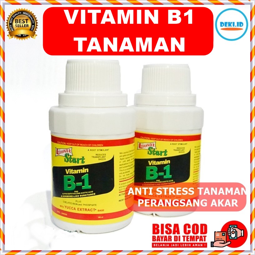 Jual Vitamin B1 Tanaman 100 Ml ZPT Pupuk Anti Stres Dan Perangsang Akar ...