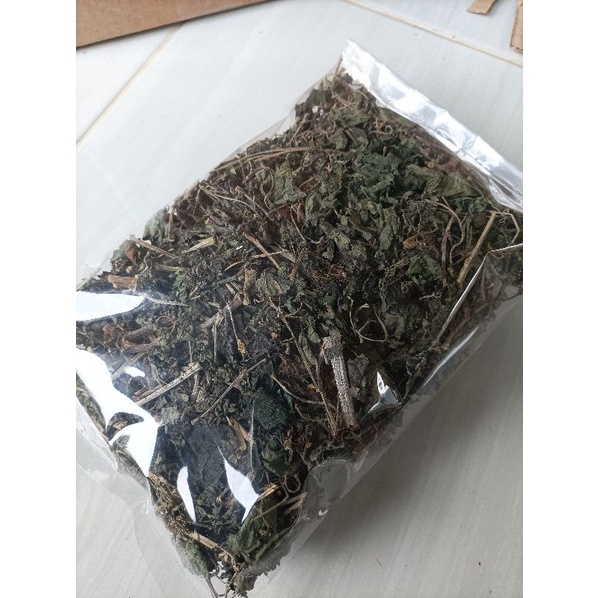 Jual Paket Hemat Gram Daun Gatalan Atau Daun Jelatang Sudah Kering