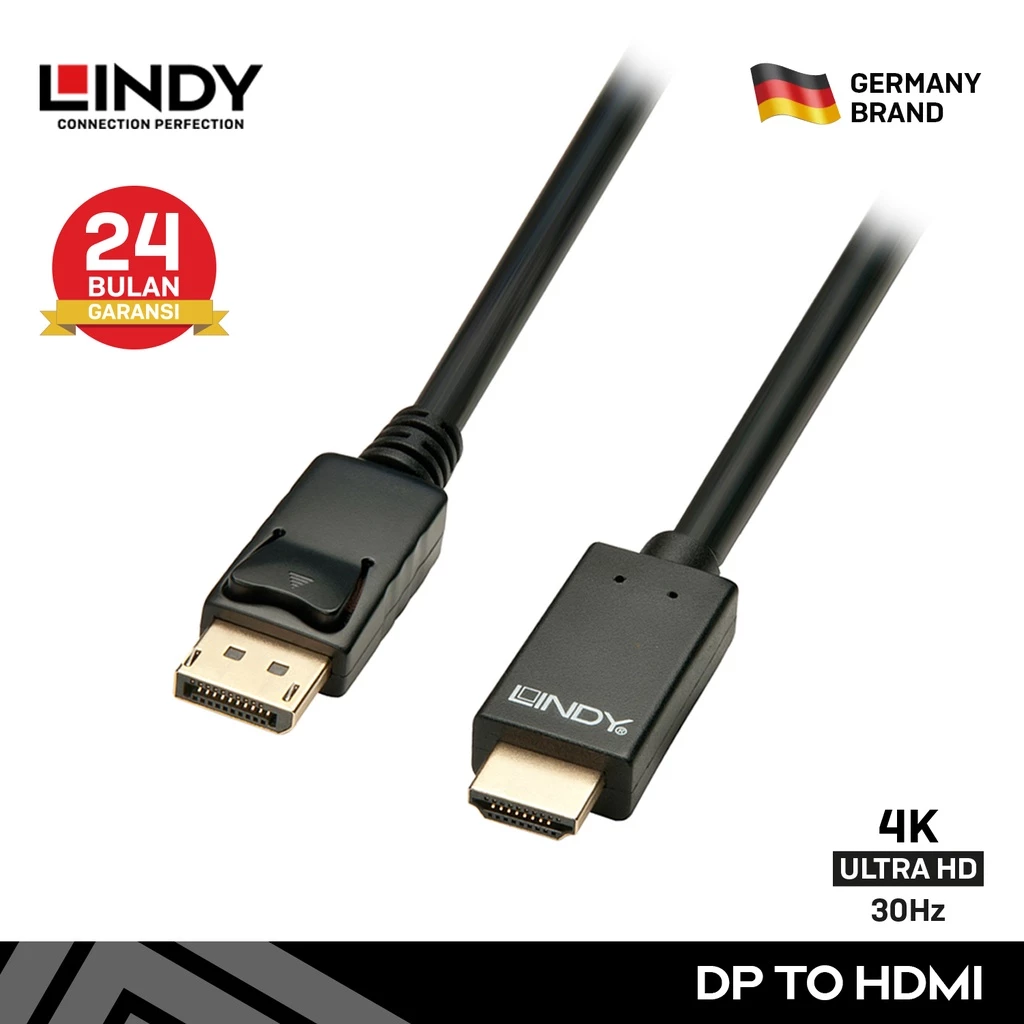 LINDY 41704 5M Kabel DisplayPort to HDMI Adapter Cable 4K 30Hz