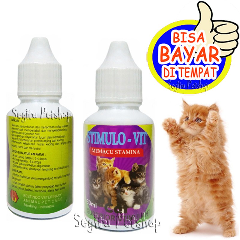 Jual VITAMIN KUCING PENAMBAH NAFSU MAKAN KITTEN STIMULO VIT Shopee