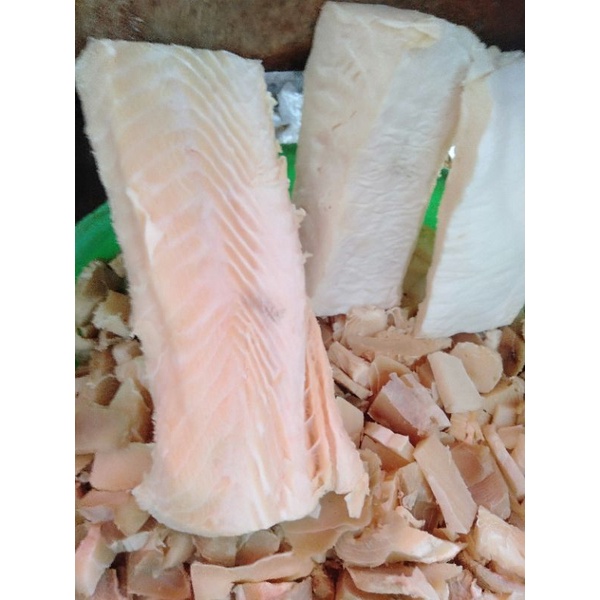 Jual ikan cucut 250 gram | Shopee Indonesia