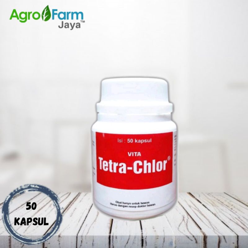Jual Obat Tetra Chlor 50 Kapsul Obat Penyakit Ayam Dan Ikan Cupang