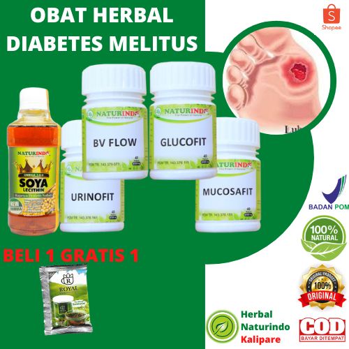 Jual Obat Diabetes Melitus Herbal Kencing Manis Naturindofit Shopee