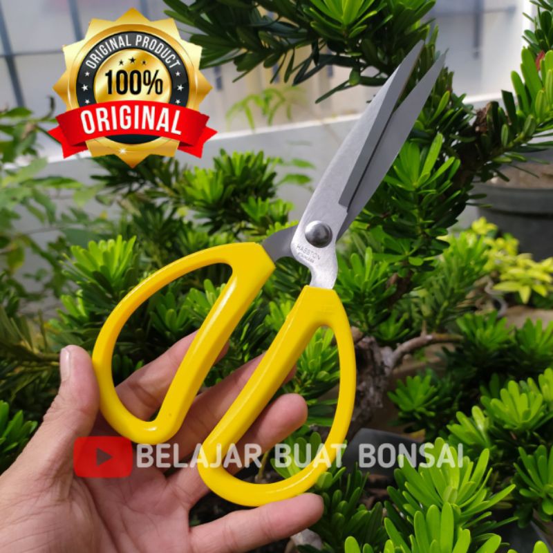 Jual Gunting Ranting dan Dahan Haston Gagang Kuning 7 Inch | Shopee ...