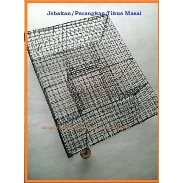 Jual Perangkap / Jebakan Tikus, cecurut, massal, besar, mudah digunakan ...