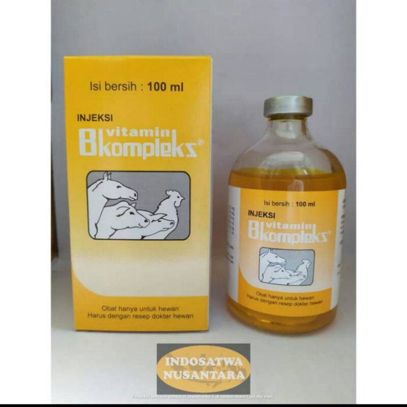 Jual Injeksi Vitamin B Kompleks 100ml | Shopee Indonesia