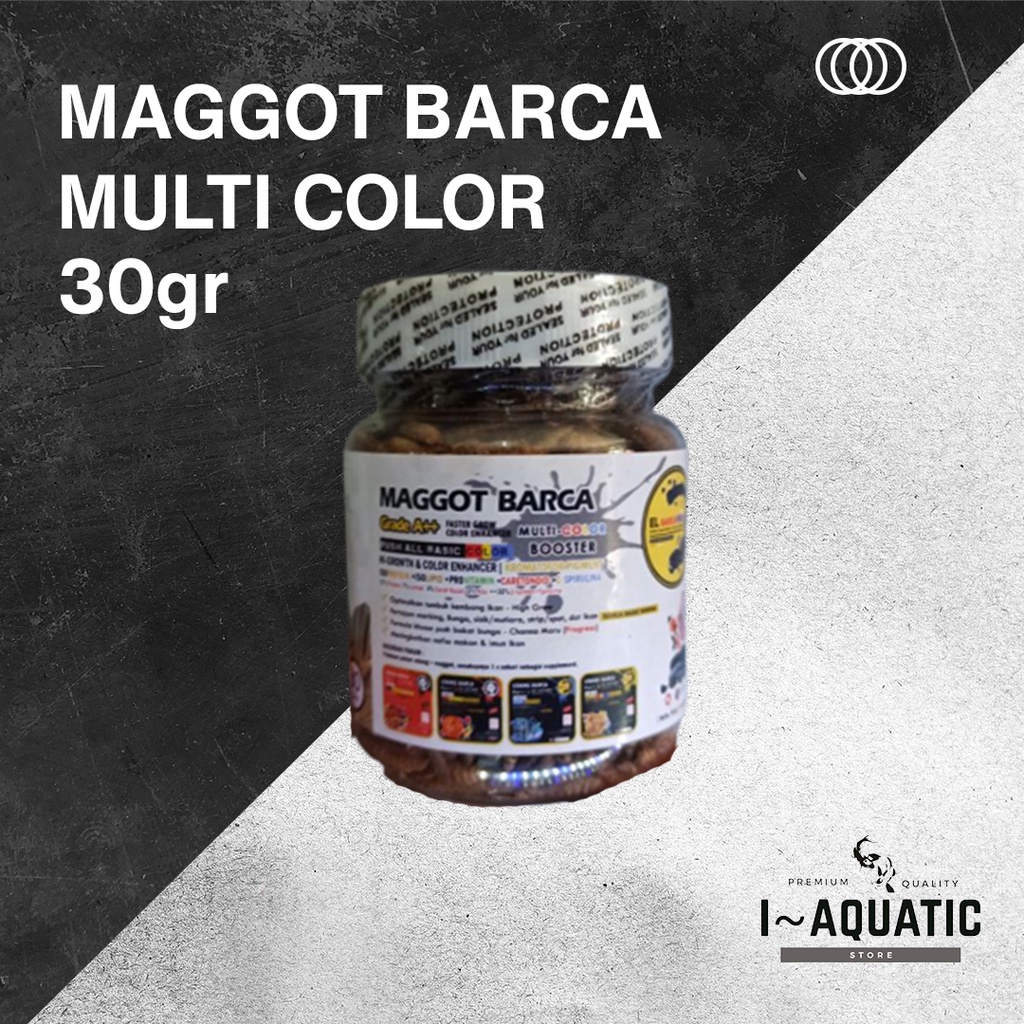 Jual Maggot Barca Multi Color, Red Yellow, & Blue | Shopee Indonesia