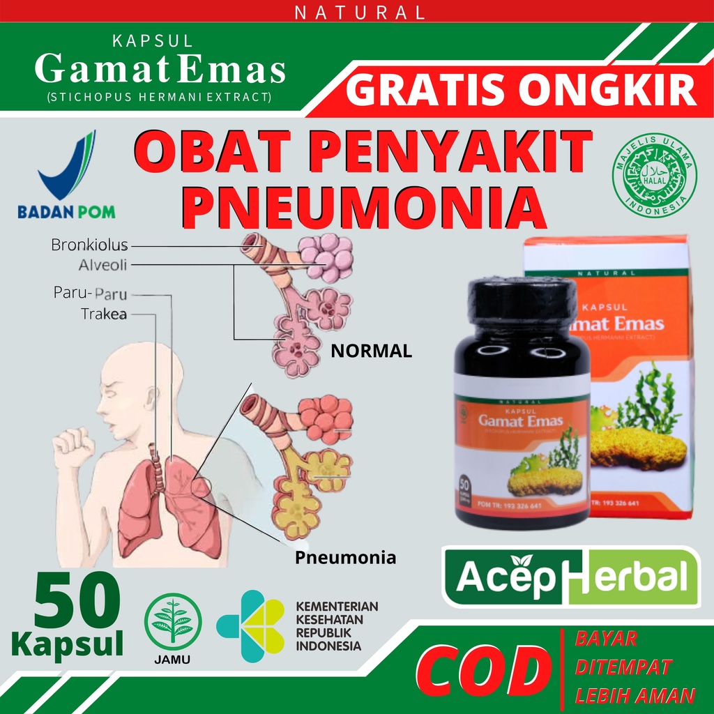 Jual Obat Pneumonia Anak Dan Dewasa Obat Herbal Pneumonia Paru-paru ...