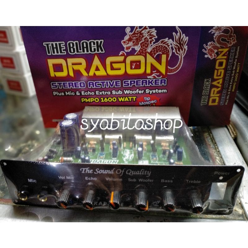 Jual KIT AMPLIFIER SPEAKER AKTIF PLUS SUBWOOFER THE BLACK DRAGON PMPO