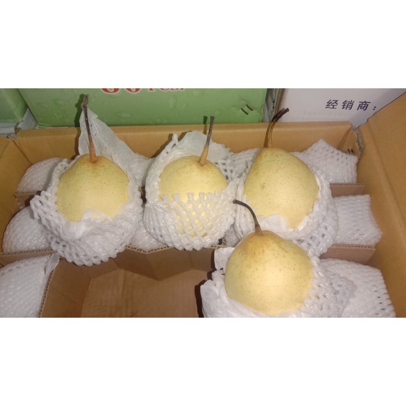 Jual Pear Yalie Pir Yali 500 Gram Shopee Indonesia 