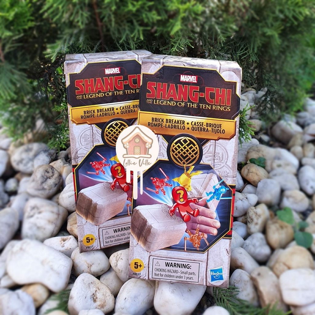 Jual Marvel Shang-Chi And The Legend Of The Ten Rings Brick Breaker ...