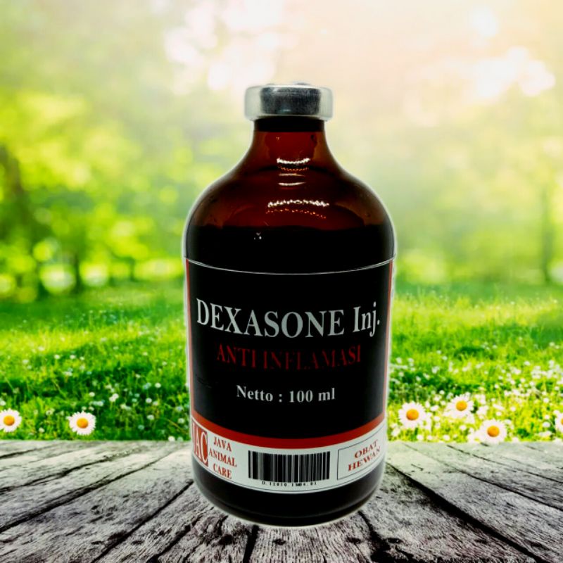 Jual dexasone inj 100 ml obat anti inflamasi | Shopee Indonesia