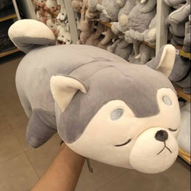 Miniso husky plush deals