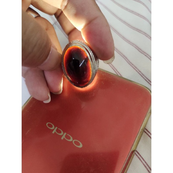 Jual Yaman cibeet size jumbo sedang | Shopee Indonesia