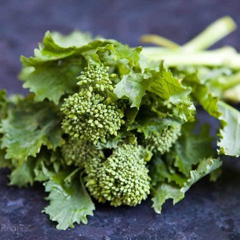 Benih Bibit Biji - Broccoli (Spring) Raab Rapini Brokoli Mini Brassica rapa  var. Ruvo Seeds - IMPORT